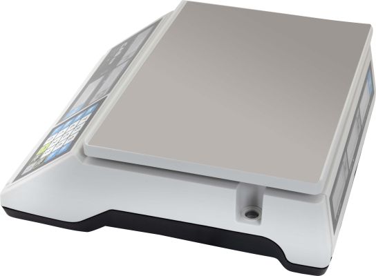 Весы CAS ER JR-CB